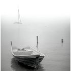 Nebel am See