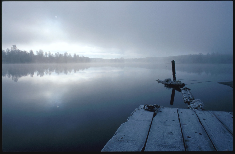 Nebel am See