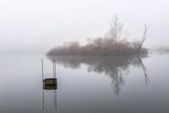 Nebel am See