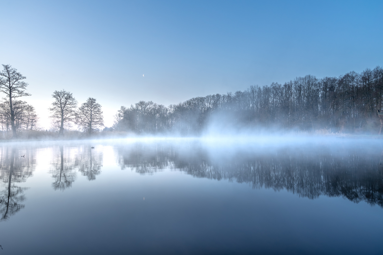 Nebel am See