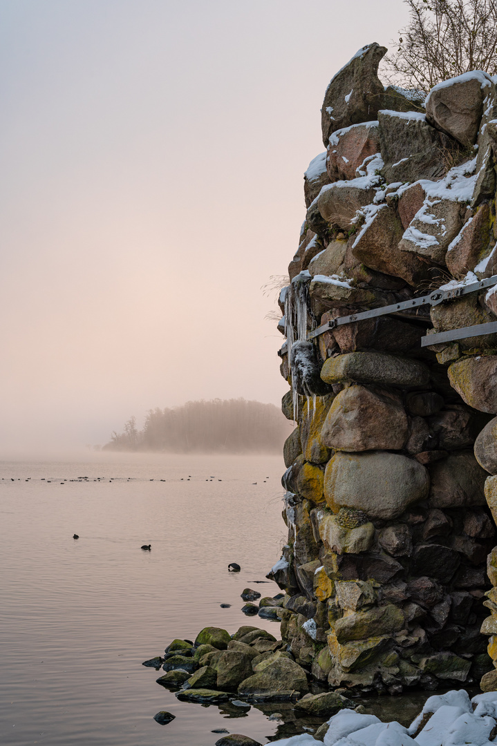 Nebel am See