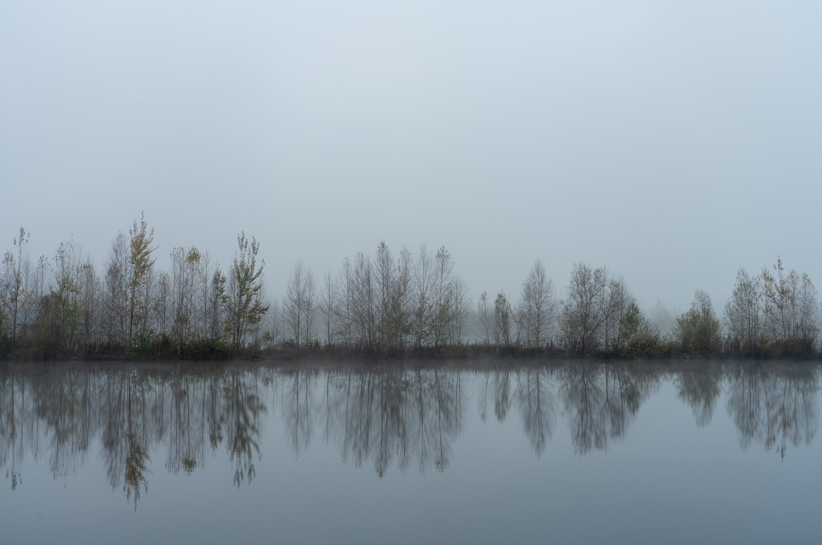 Nebel am See