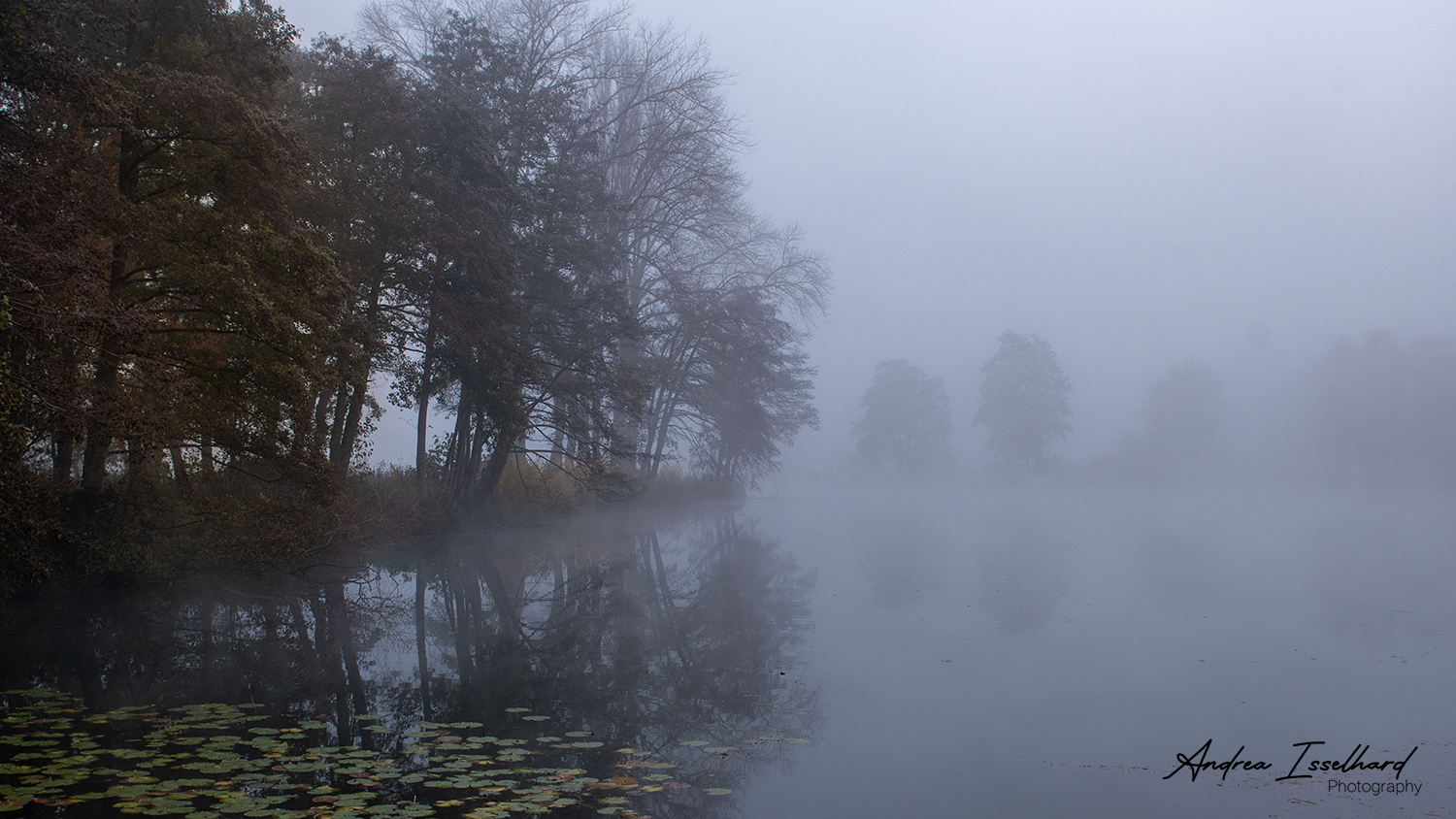 Nebel am See