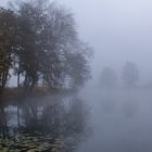 Nebel am See