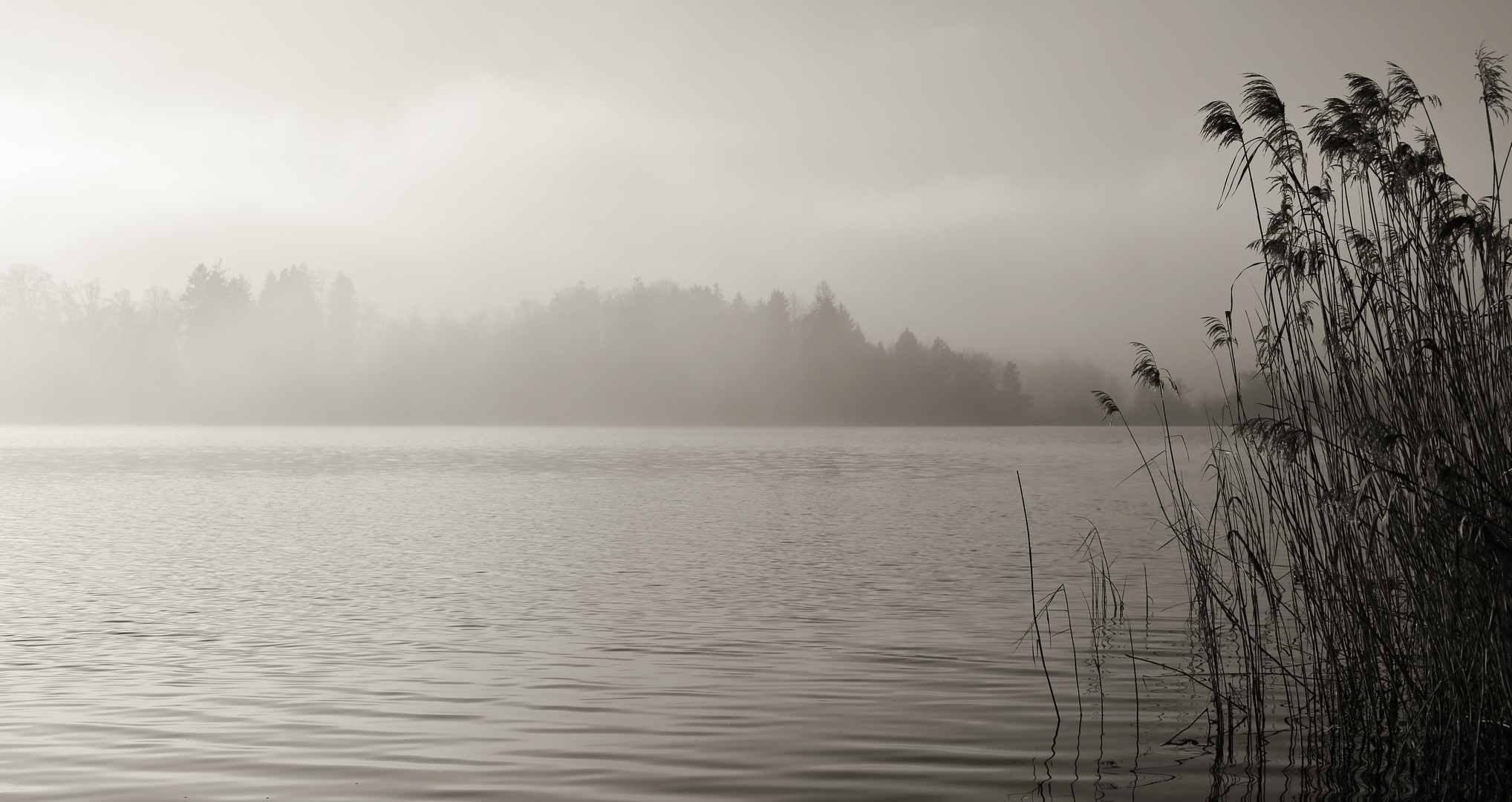 ~ nebel am see ~