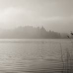 ~ nebel am see ~