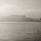 ~ nebel am see ~