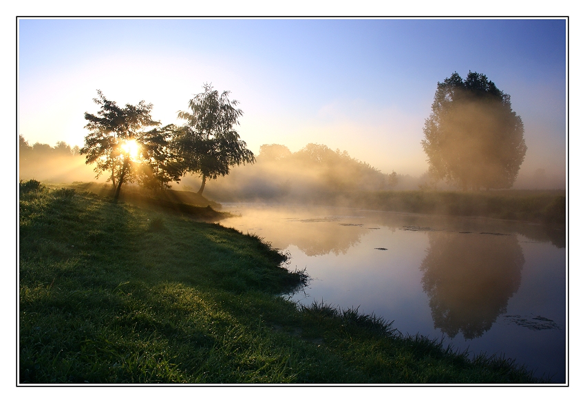 Nebel am See