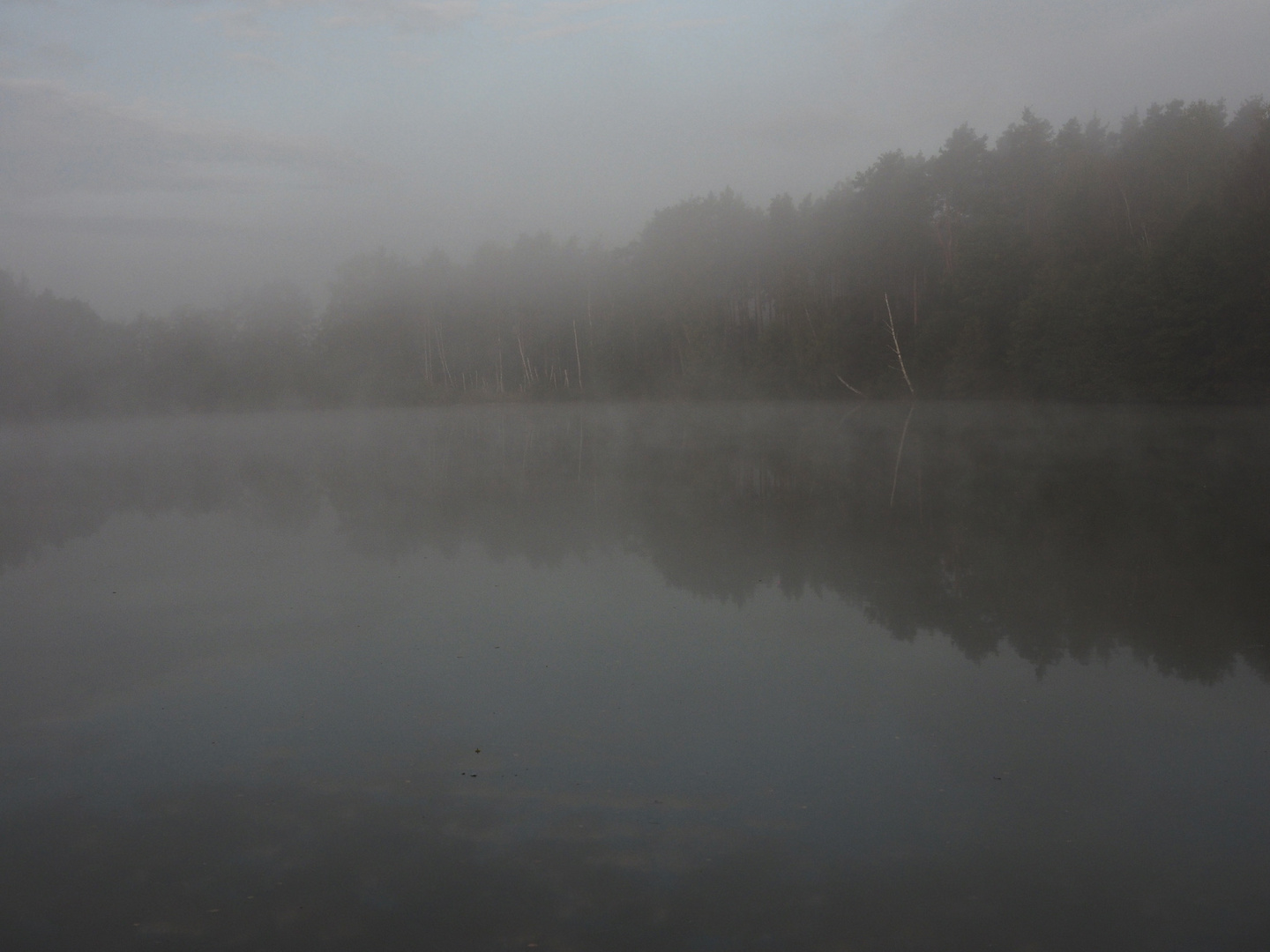 Nebel am See