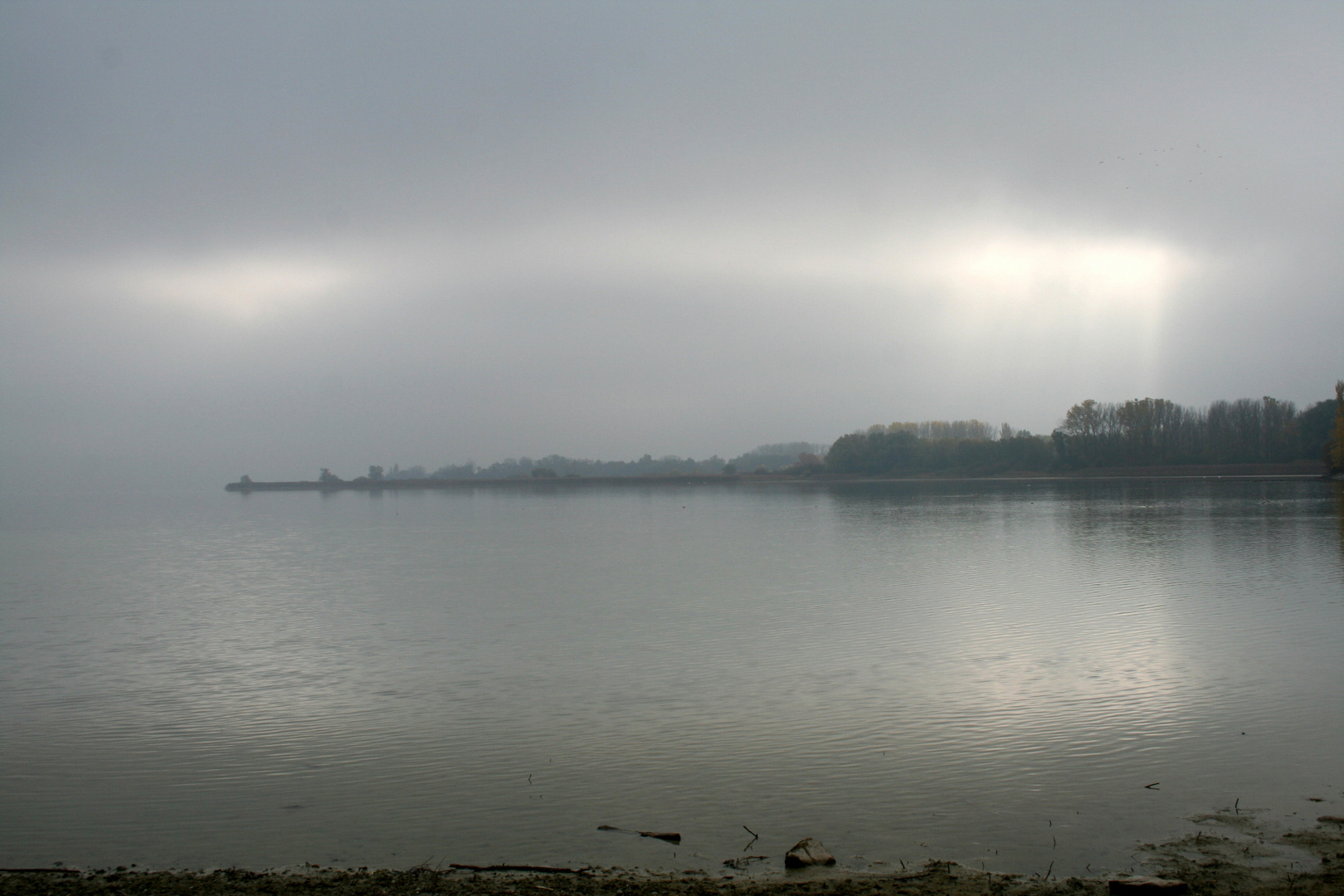 Nebel am See