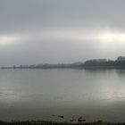 Nebel am See