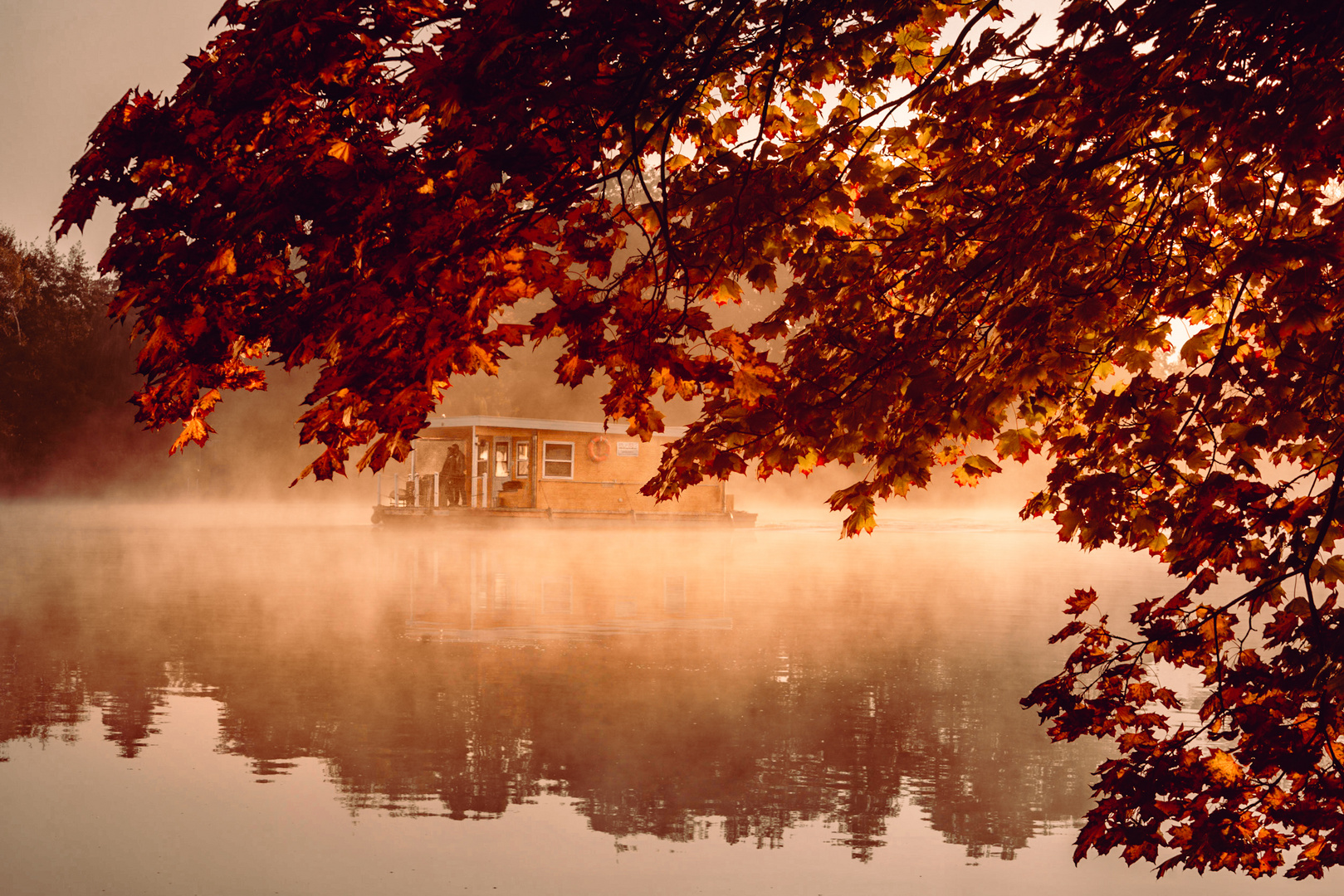 Nebel am See