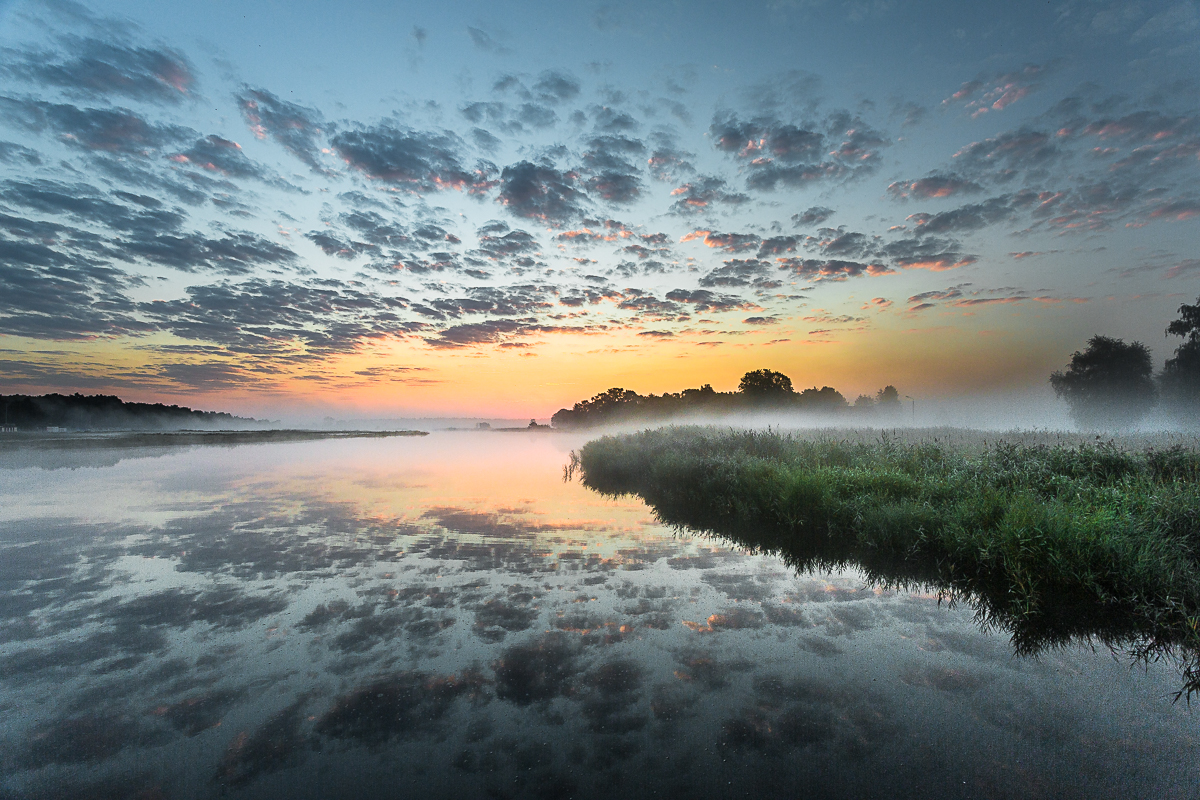 Nebel am See