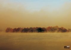 Nebel am See