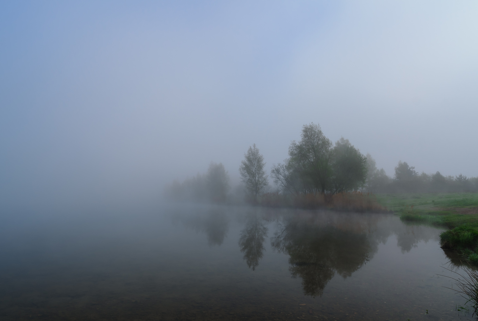 Nebel am See