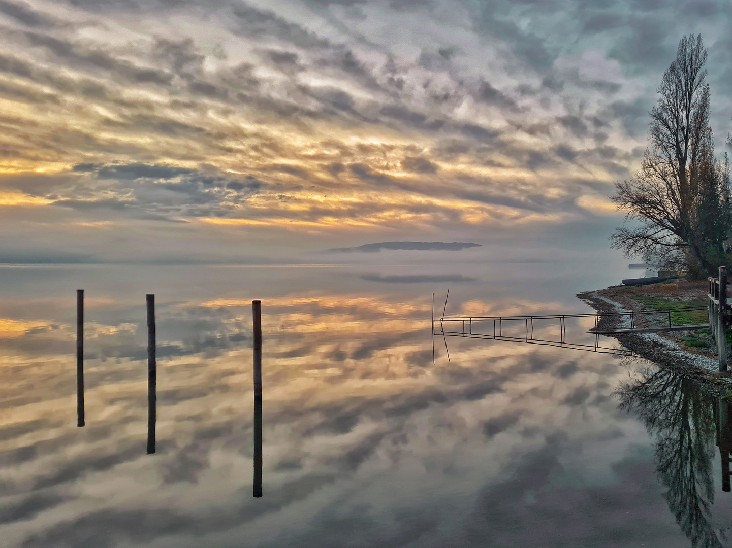 Nebel am See