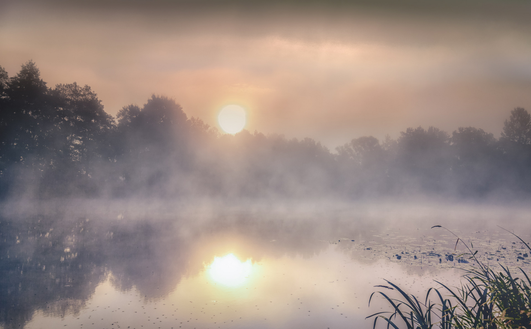 Nebel am See