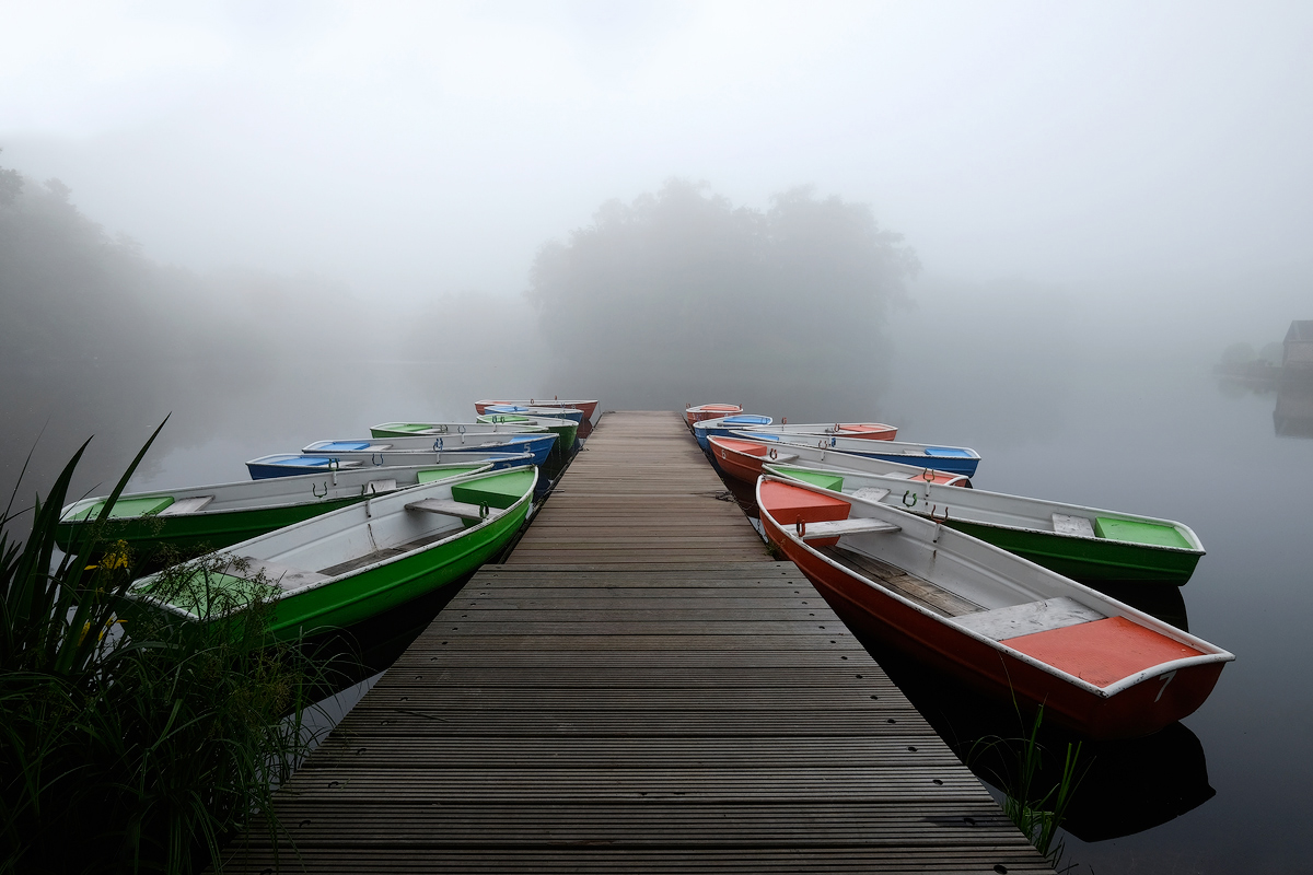 Nebel am See