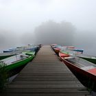 Nebel am See