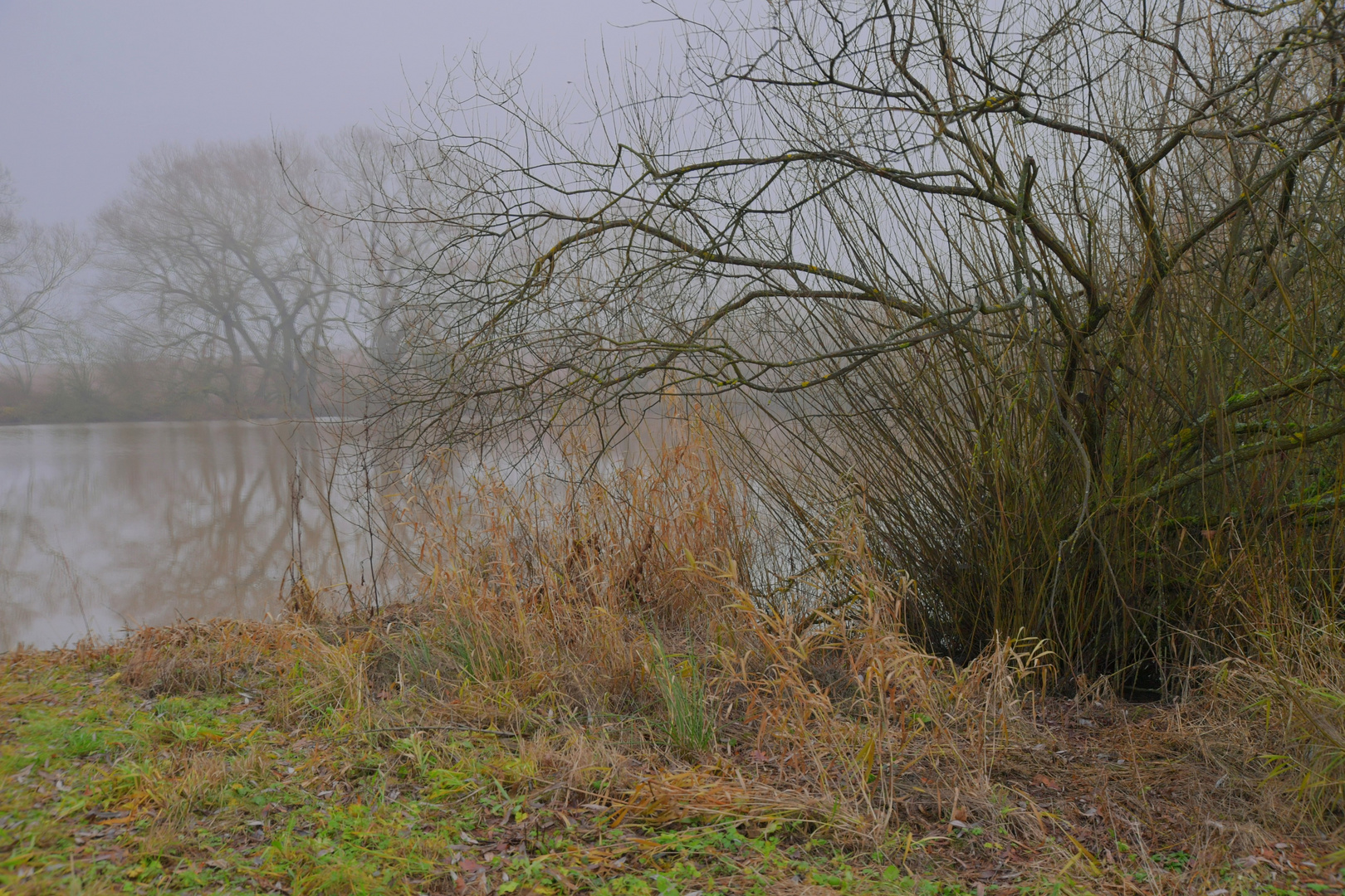 Nebel am See