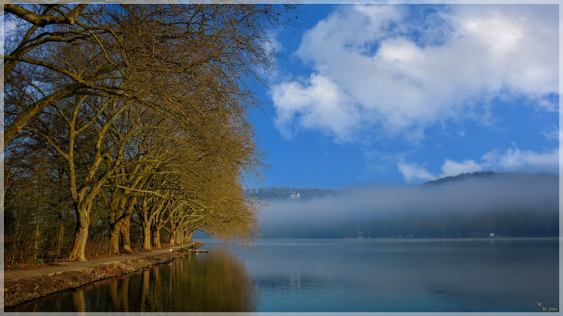 Nebel am See