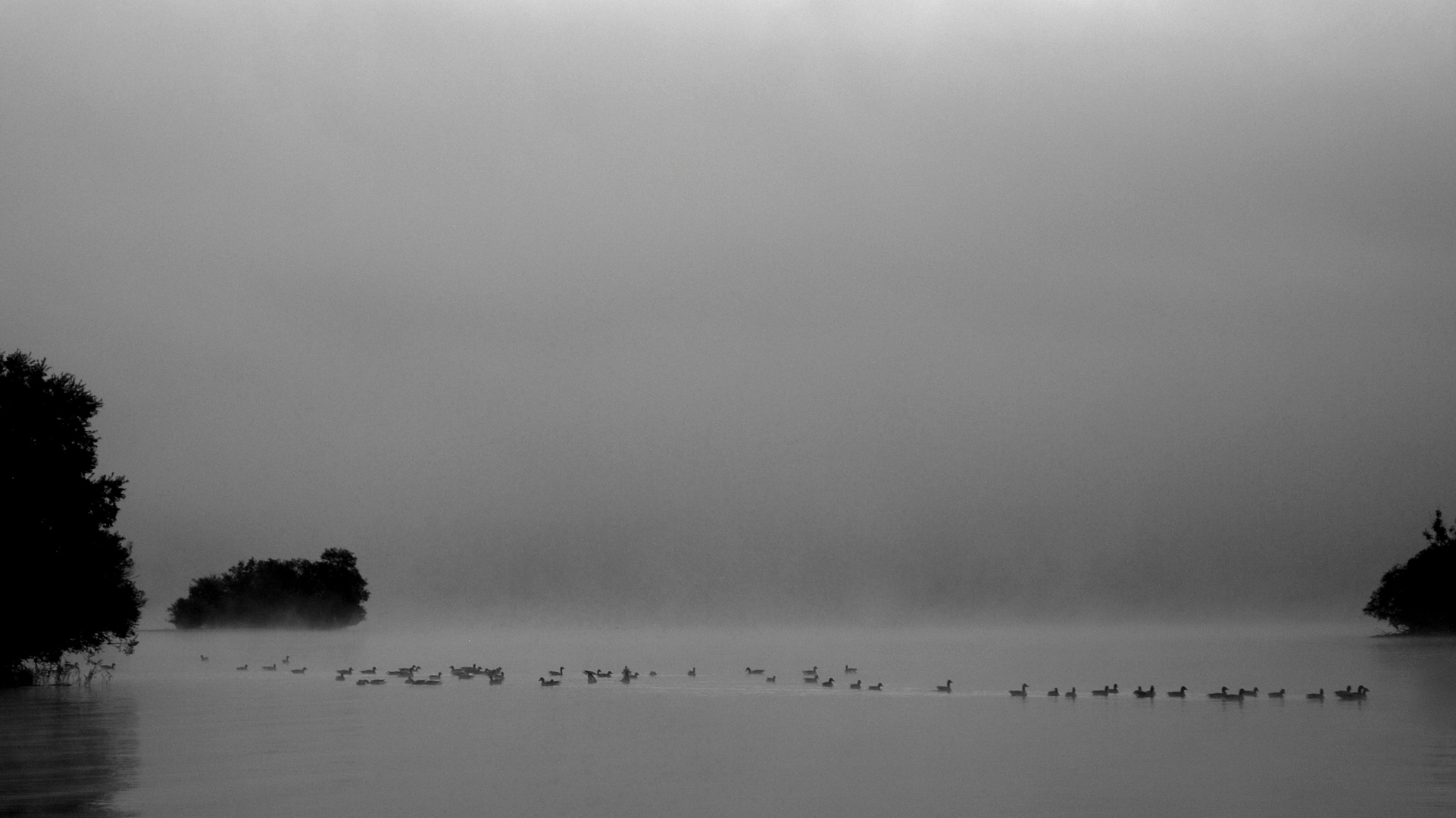 Nebel am See