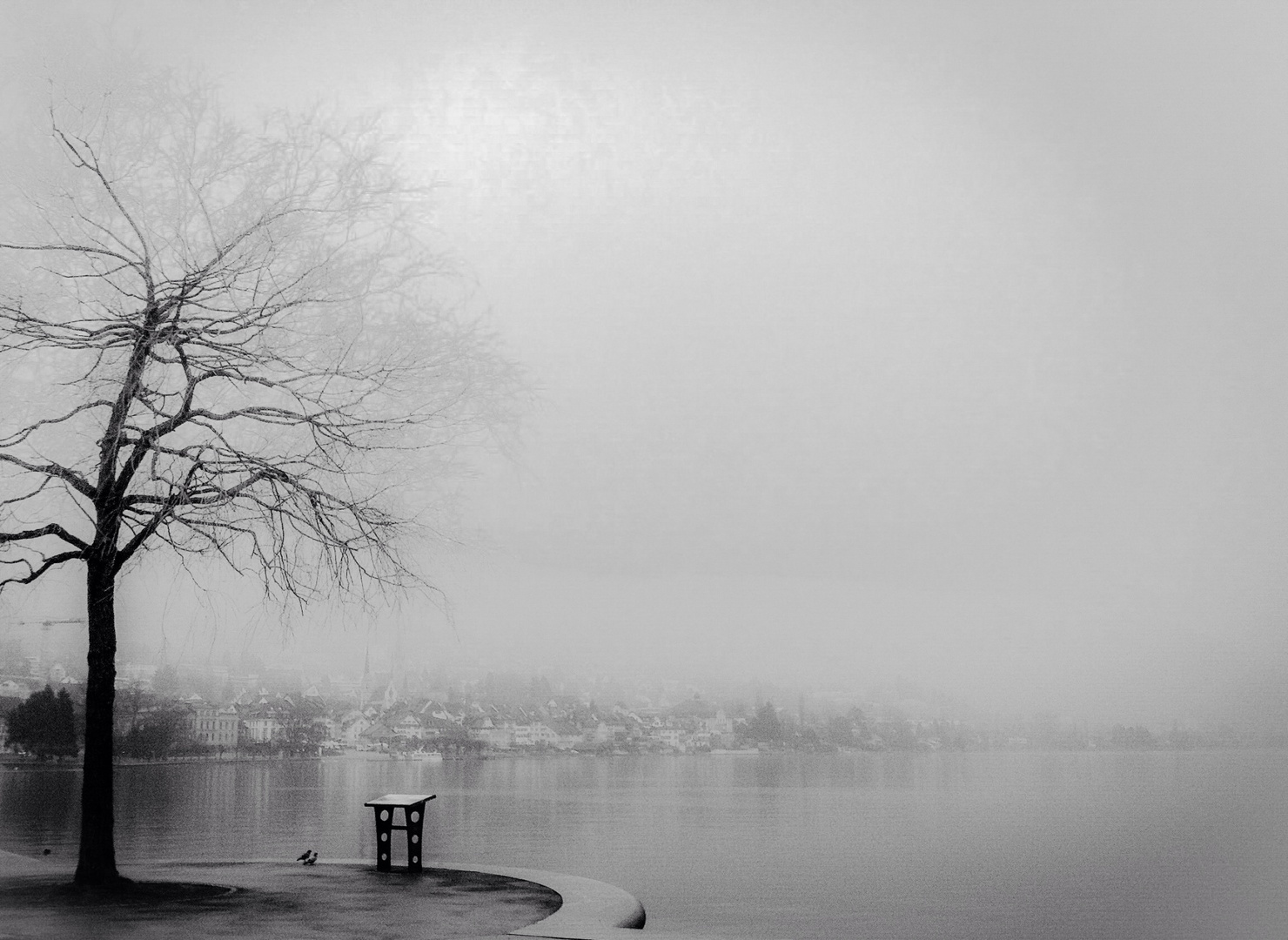 Nebel am See