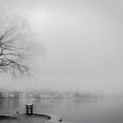 Nebel am See