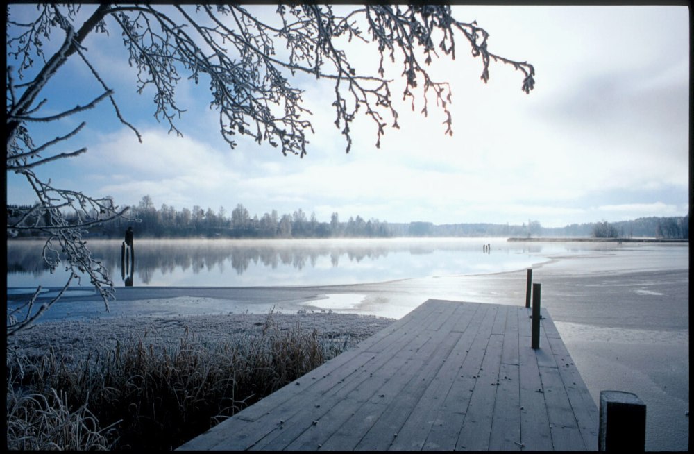 Nebel am See II