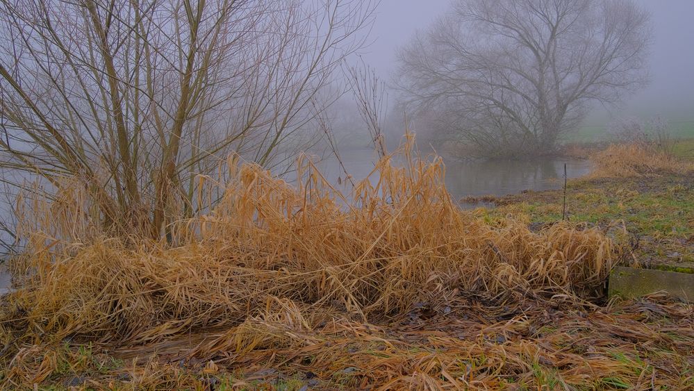 Nebel am See (niebla en el lago)