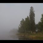 Nebel am See (Schweden).