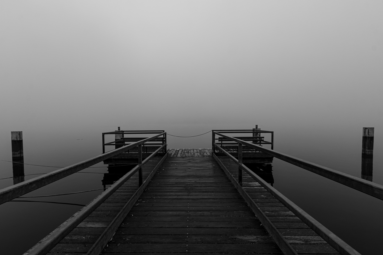 Nebel am Semliner See