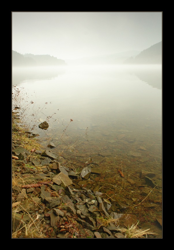 Nebel am Sösestausee