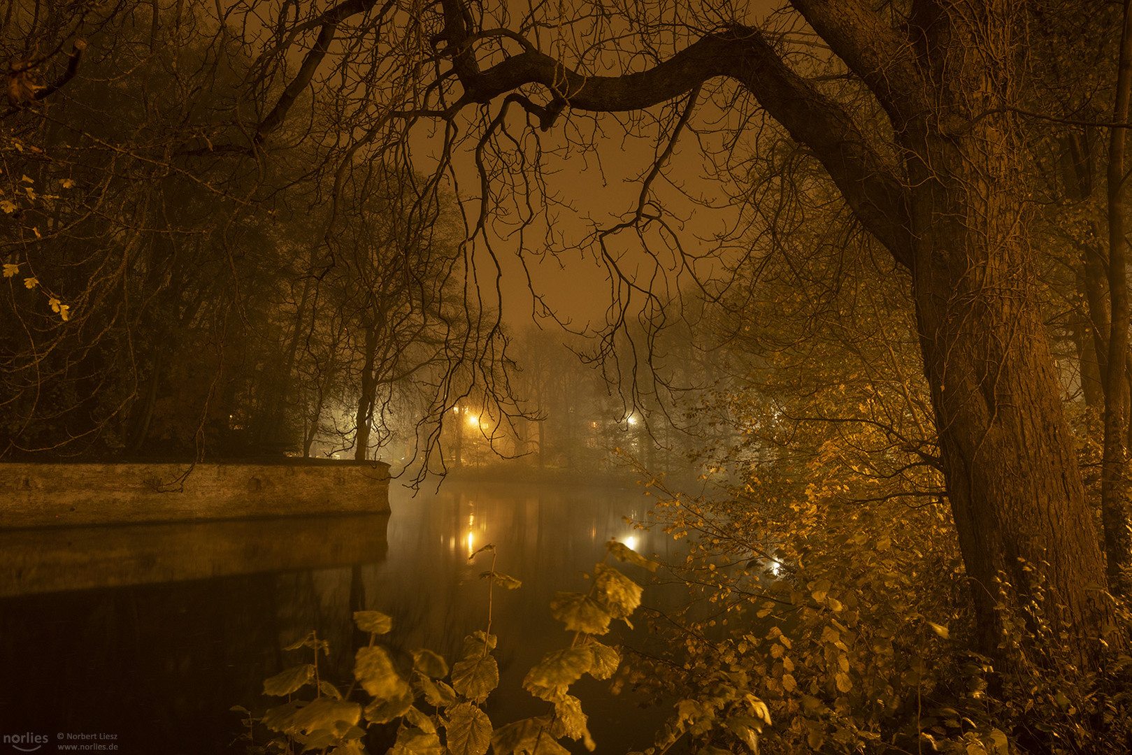 Nebel am Stadtgraben