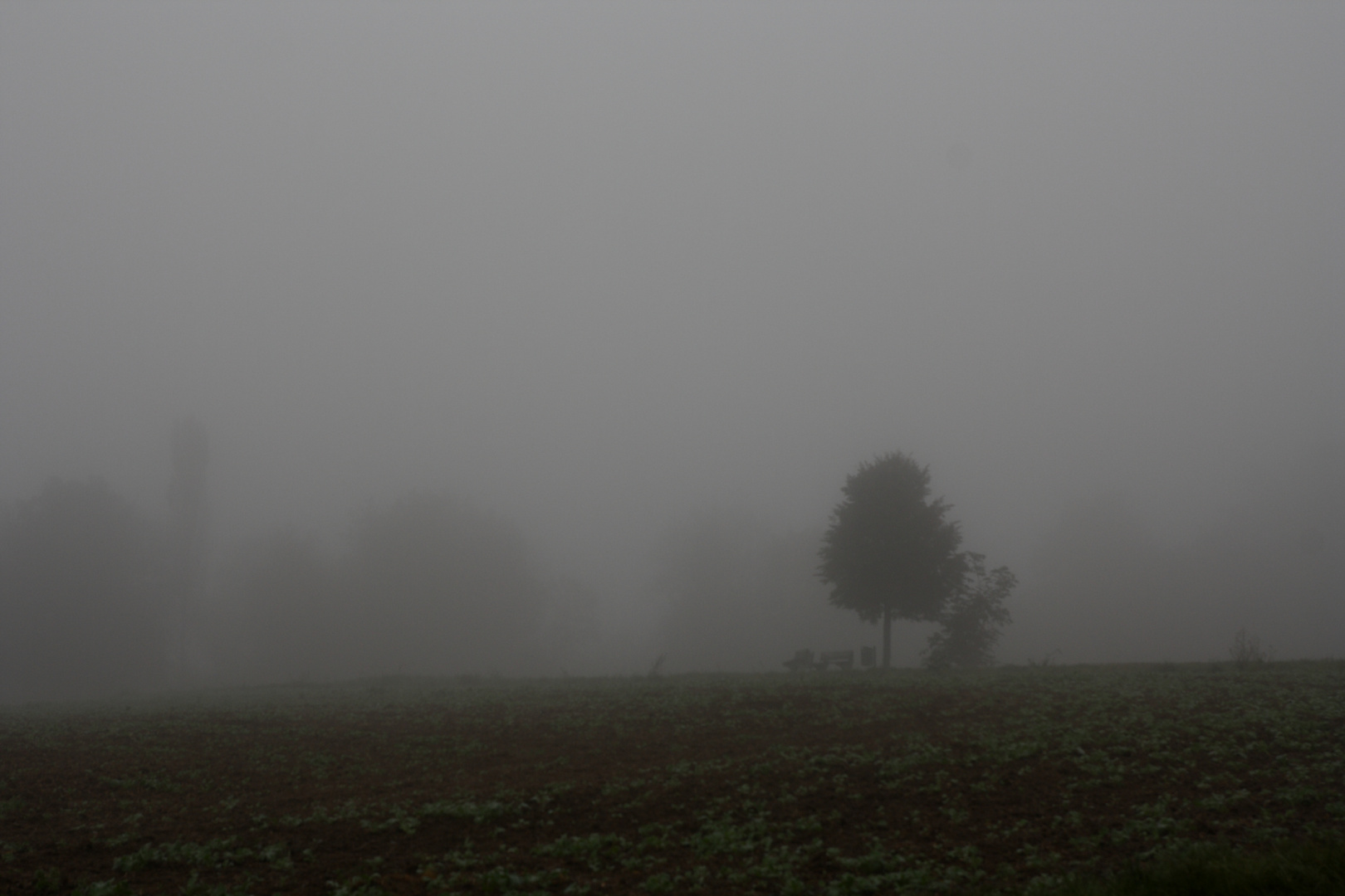 Nebel am Stadtrand