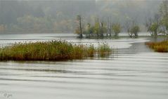 Nebel am Staffelsee