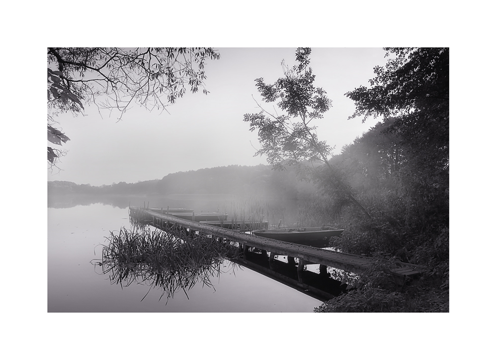 Nebel am Steg