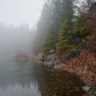 Nebel am Steinbruch See