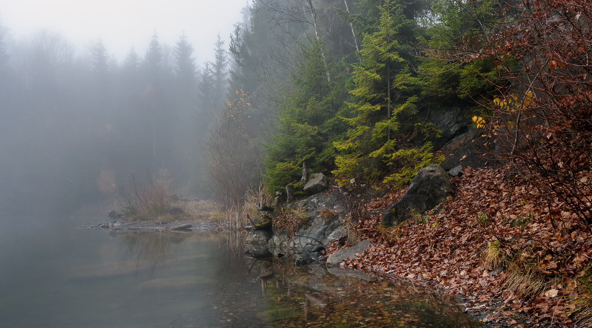 Nebel am Steinbruchsee