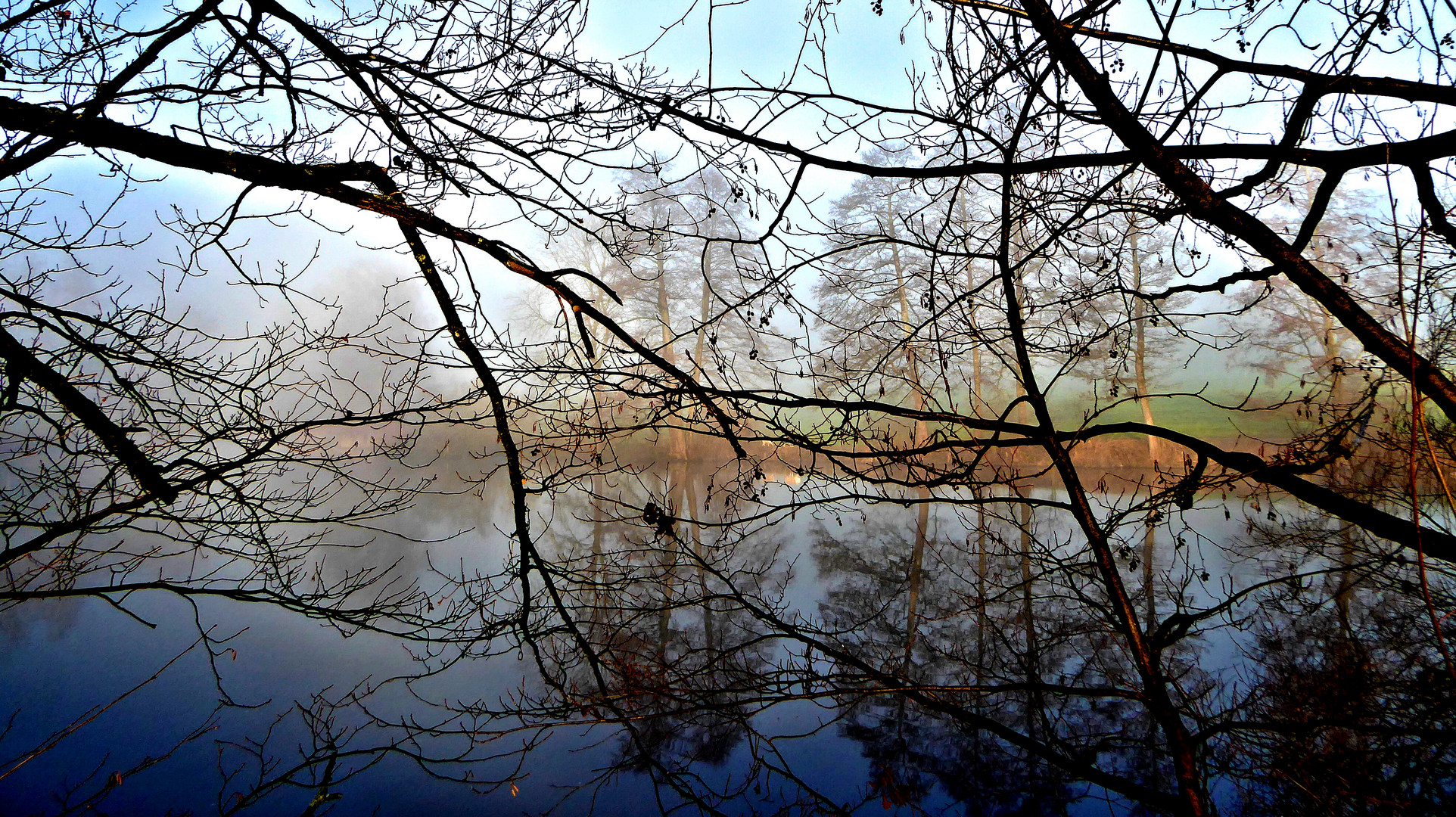 Nebel am Sternenweiher 1