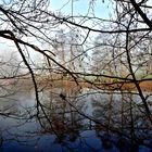 Nebel am Sternenweiher 1