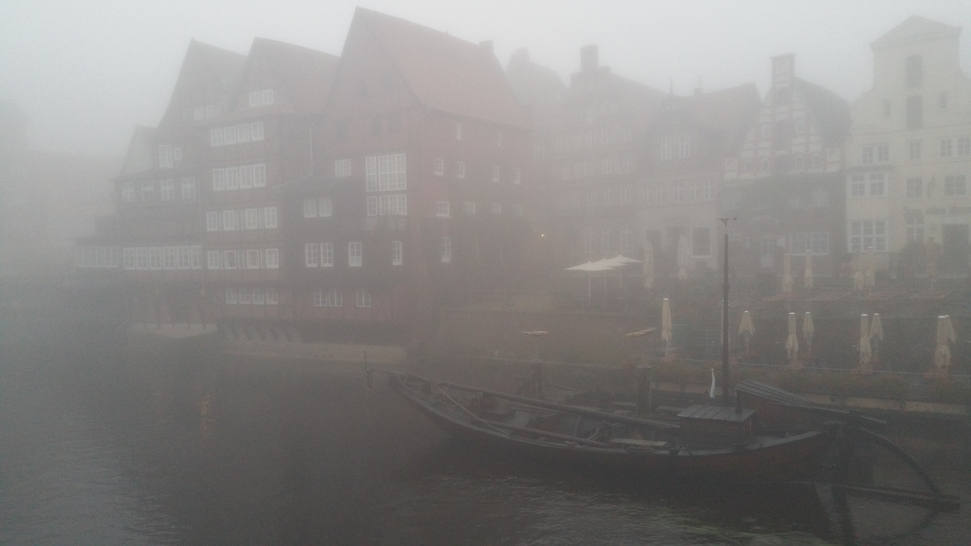 Nebel am Stint