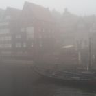 Nebel am Stint