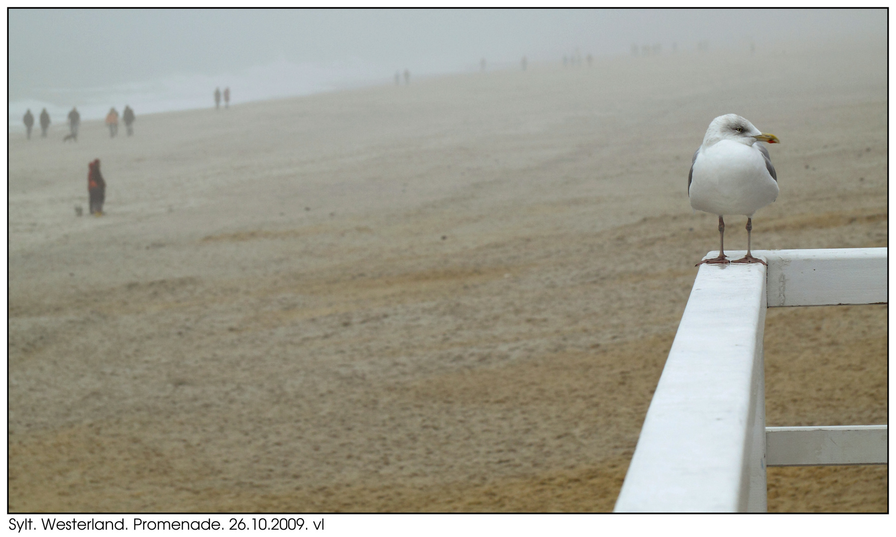 Nebel am Strand