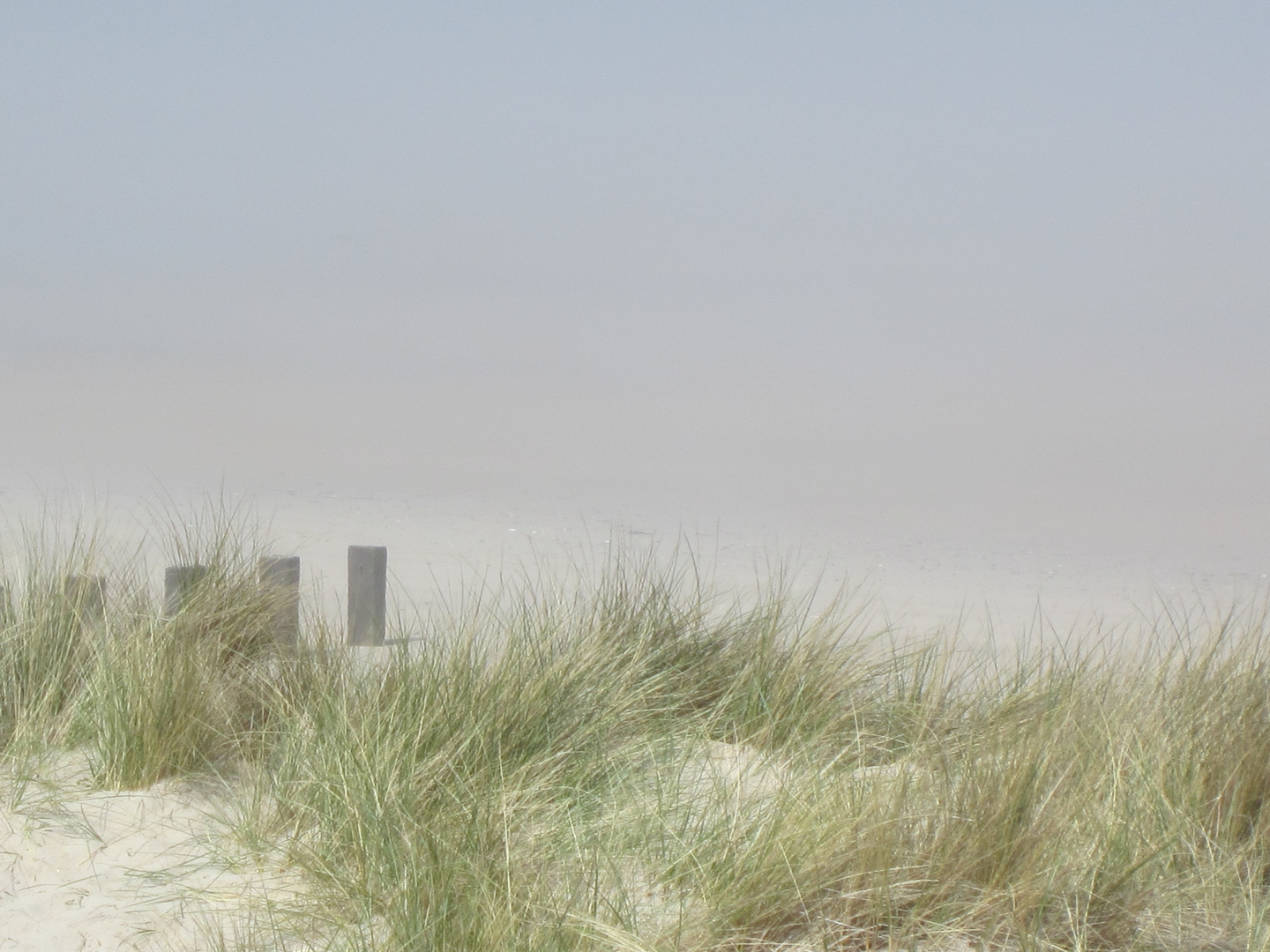 Nebel am Strand