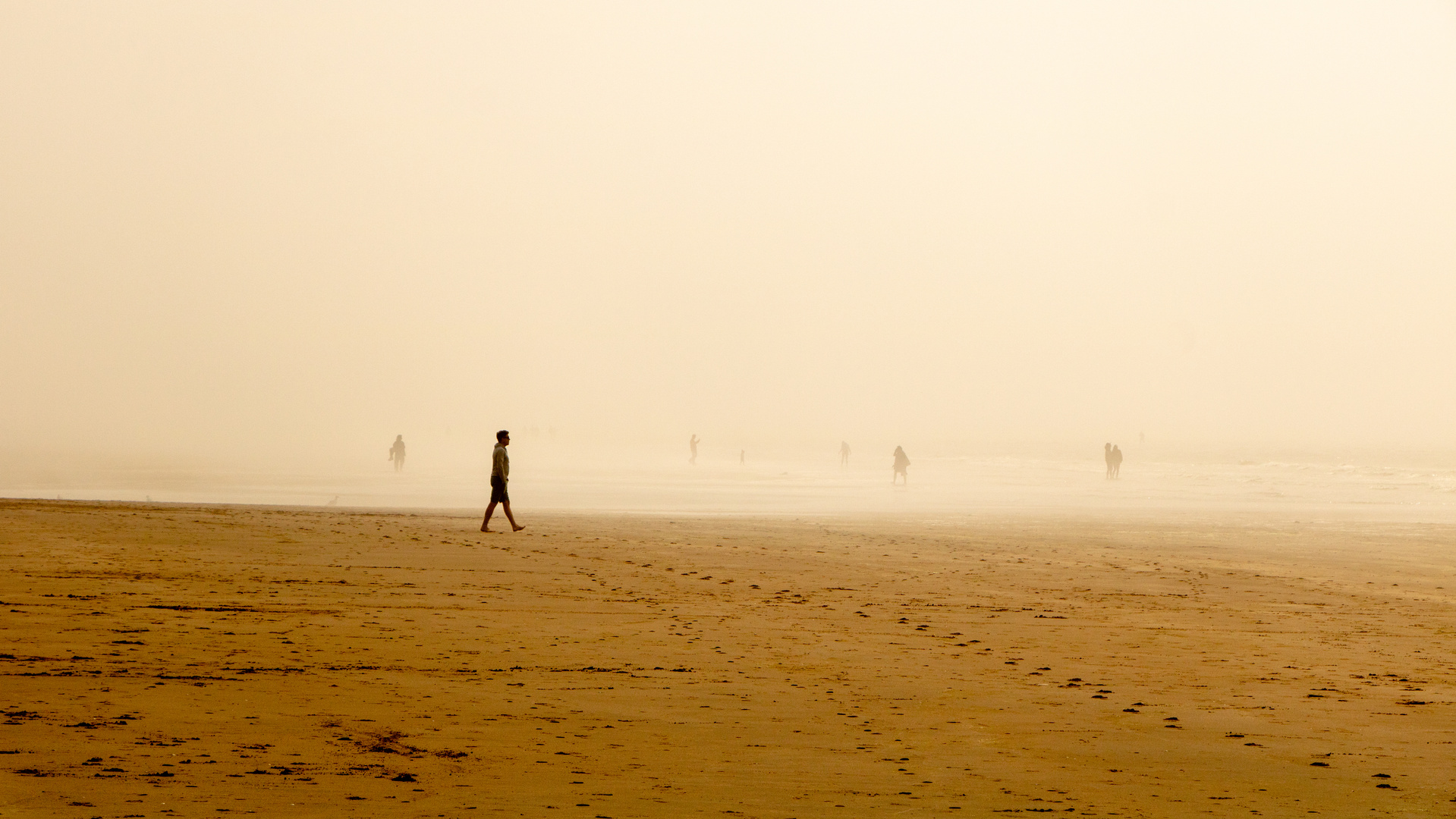 Nebel am Strand