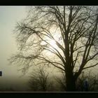 Nebel am Strassenrand - III