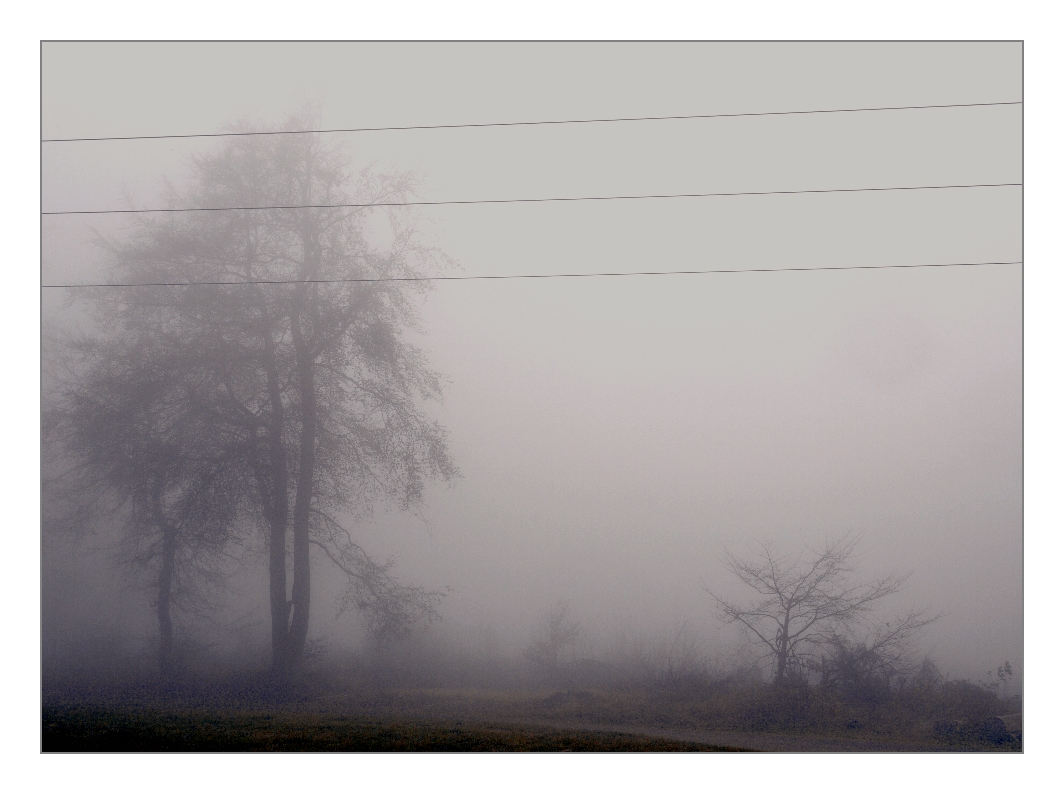 Nebel am Strom