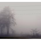 Nebel am Strom