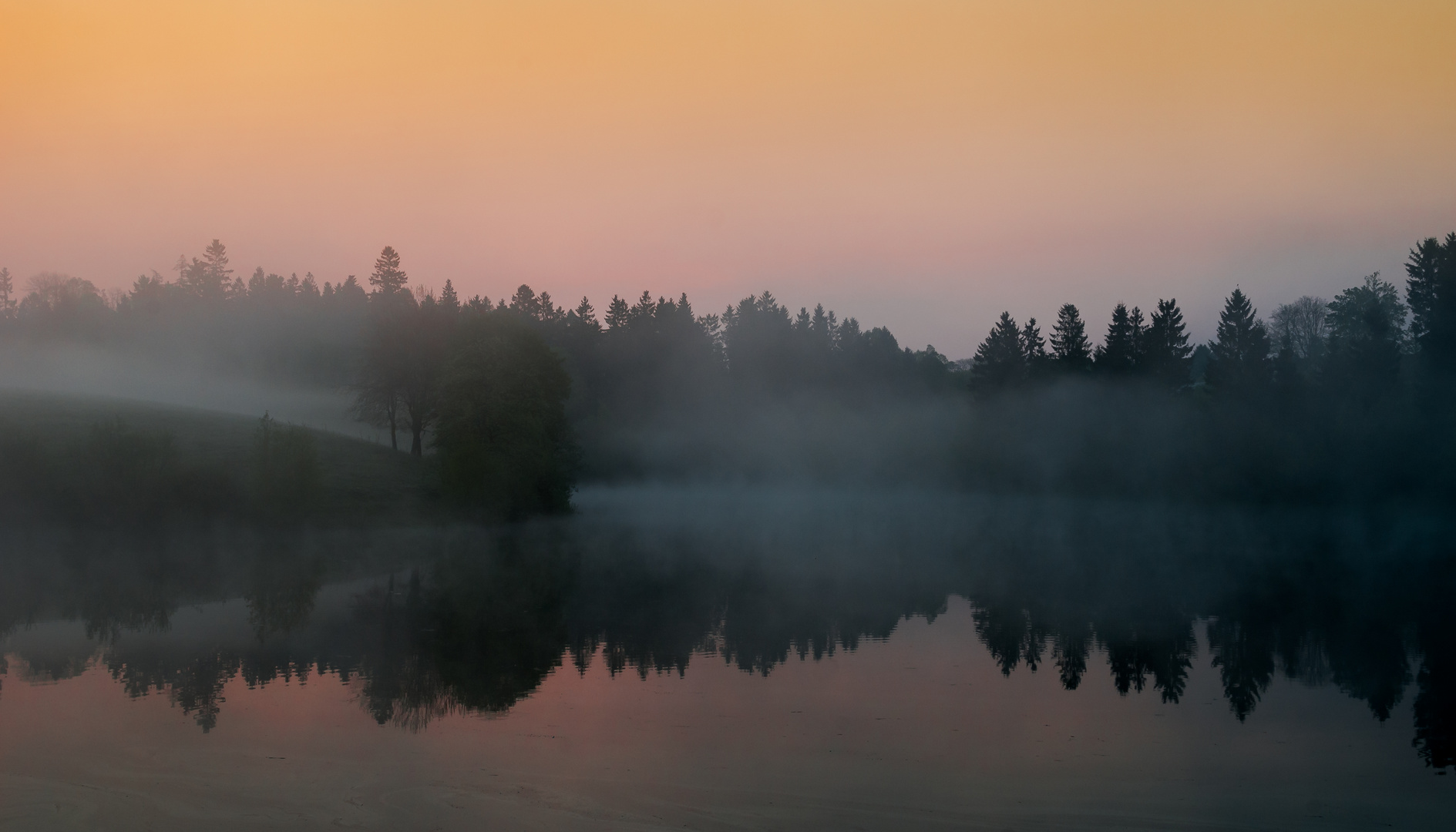 Nebel am Teich